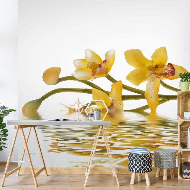 Design Tapeten Saffron Orchid Waters