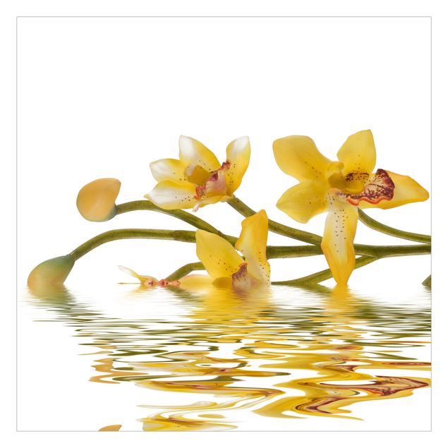 Tapete selbstklebend Saffron Orchid Waters