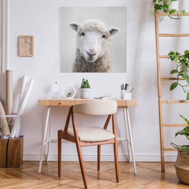 Leinwandbilder kaufen Schaf Steffi
