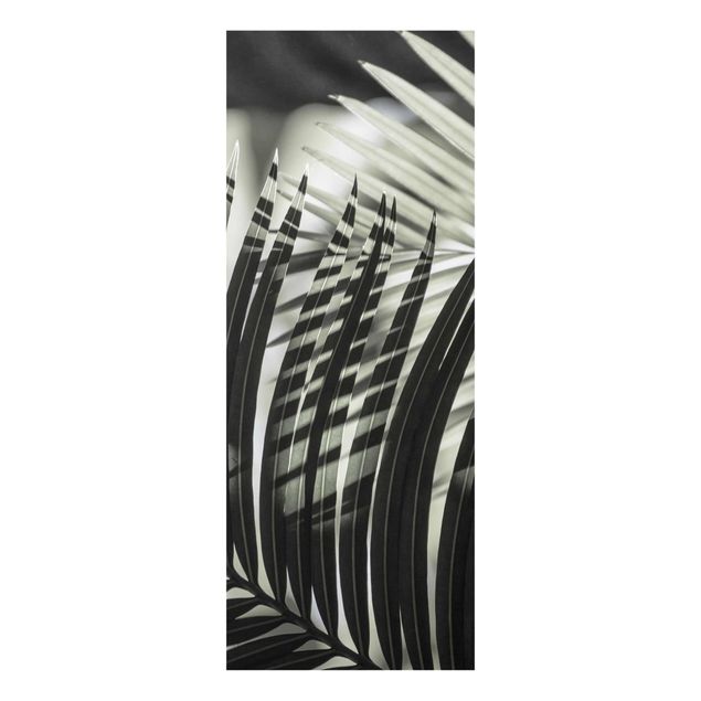 schöne Bilder Schattenspiel auf Palmenwedel