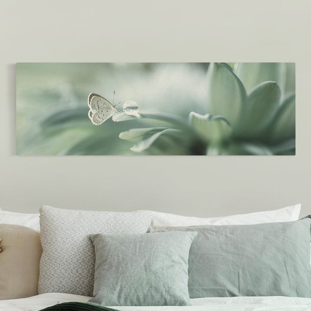 Blumenbilder auf Leinwand Schmetterling und Tautropfen in Pastellgrün