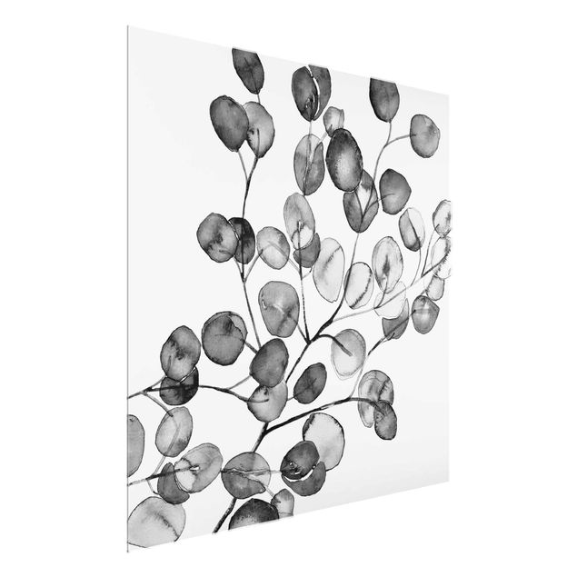 Monika Strigel Poster Schwarz Weiß Aquarell Eukalyptuszweig