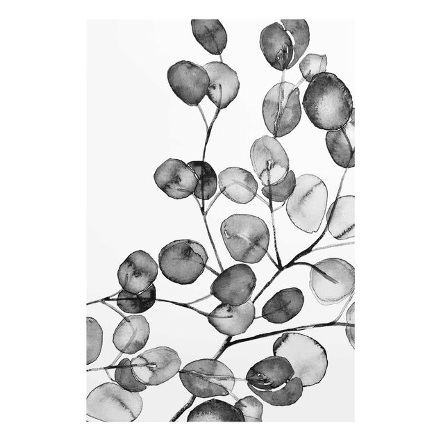 schöne Bilder Schwarz Weiß Aquarell Eukalyptuszweig