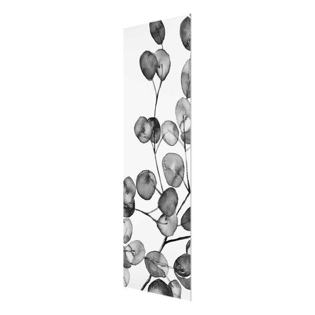 Glas Wandbilder Schwarz Weiß Aquarell Eukalyptuszweig