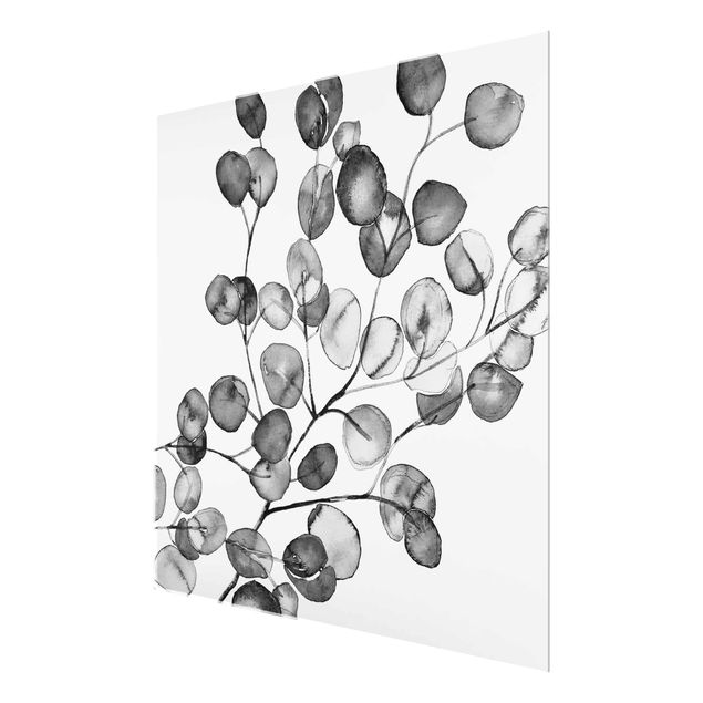 Glas Wandbilder Schwarz Weiß Aquarell Eukalyptuszweig