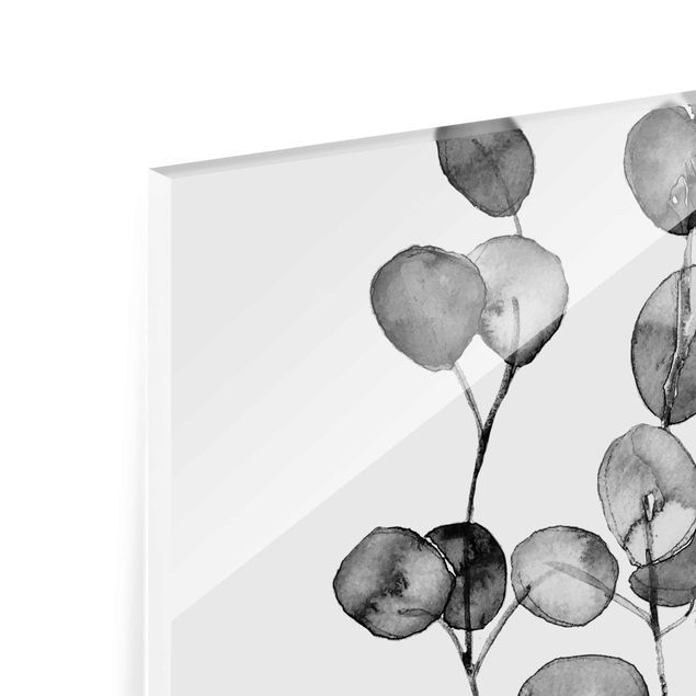 Glasbild - Schwarz Weiß Aquarell Eukalyptuszweig - Quadrat