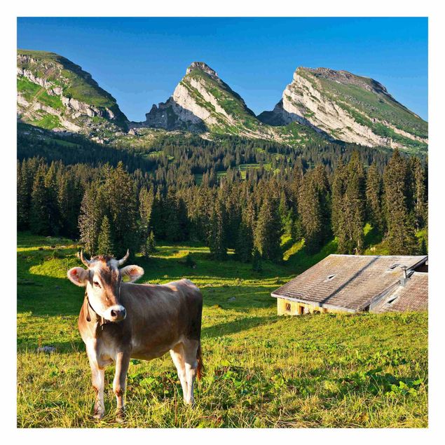 Tapeten Schweizer Almwiese mit Kuh
