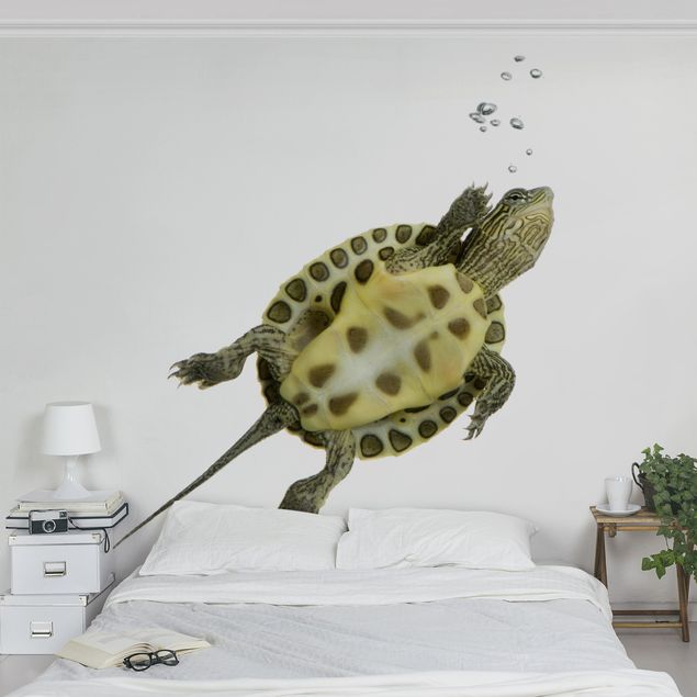 Fototapete selbstklebend Schwimmende Schildkröte