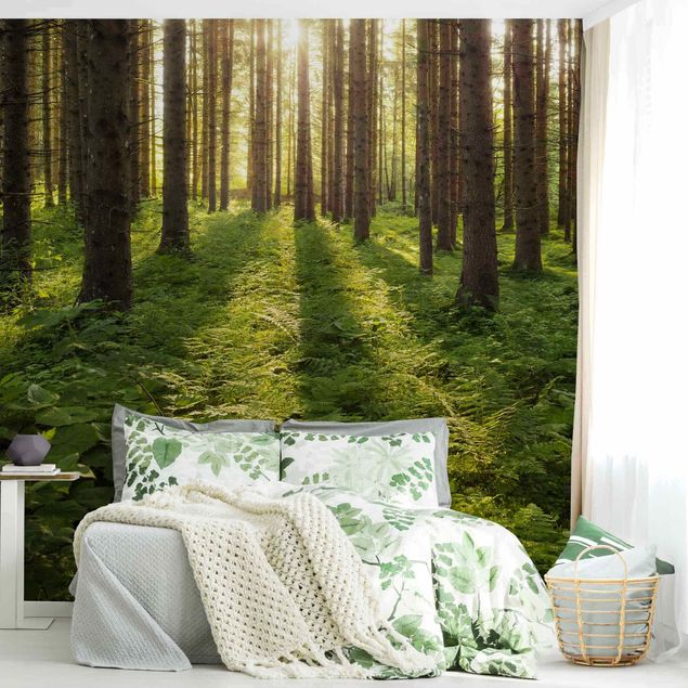 Design Tapeten Sonnenstrahlen in grünem Wald