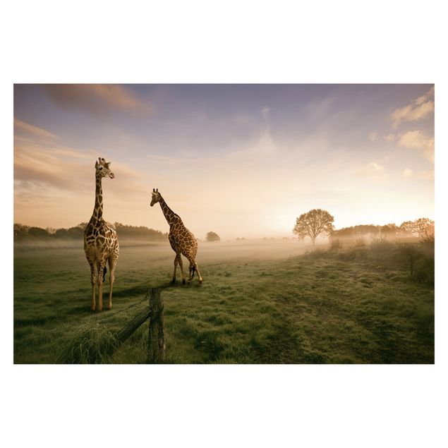 selbstklebende Tapete Surreal Giraffes