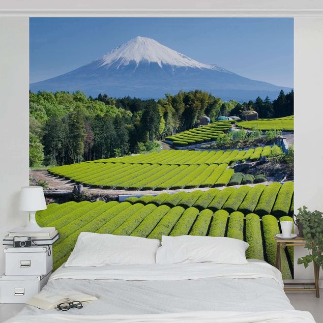 Design Tapeten Teefelder vor dem Fuji