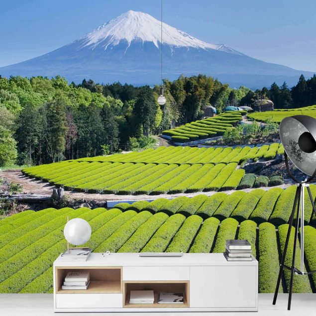 Tapete Natur Teefelder vor dem Fuji