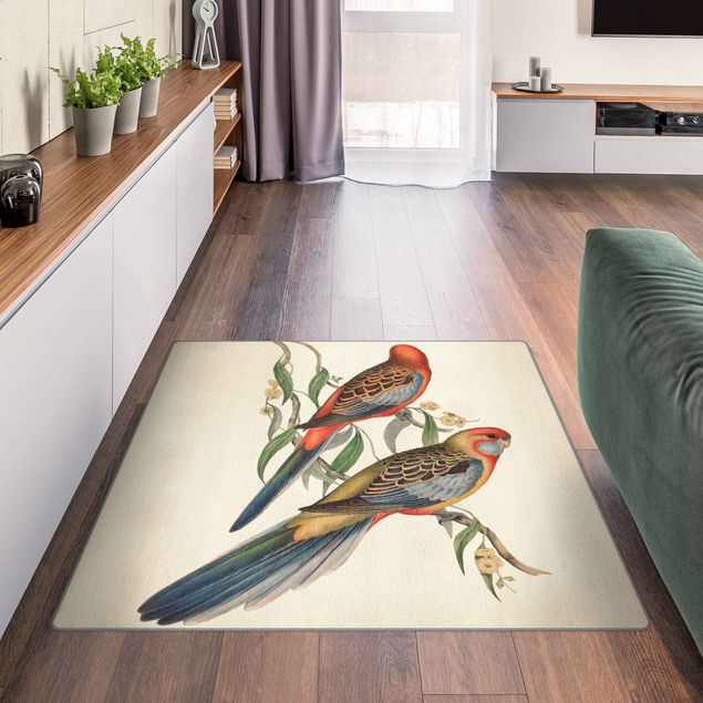 Moderner Teppich Tropische Papageien II