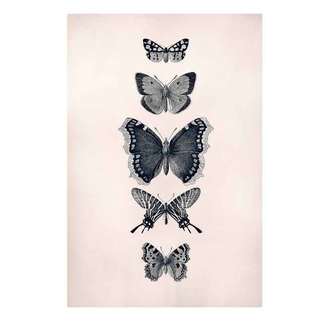 Leinwandbild - Tusche Schmetterlinge auf Beige - Hochformat 2:3