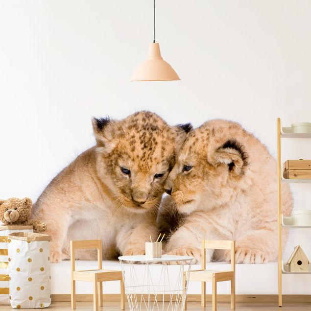 Fototapete Löwe Two Lion Babys