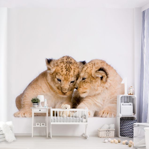 Fototapete Tiere Two Lion Babys