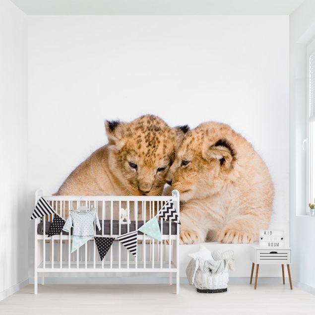 selbstklebende Tapete Two Lion Babys