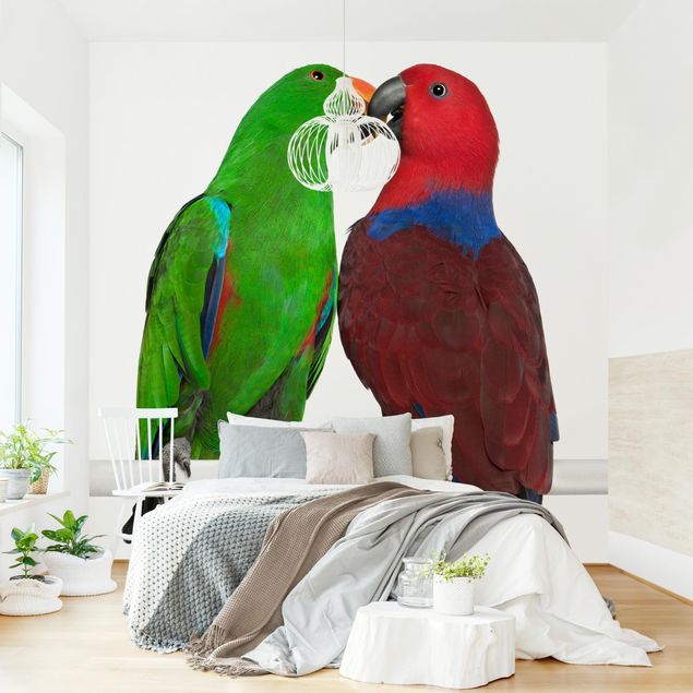 Fototapete selbstklebend Verliebte Papageien