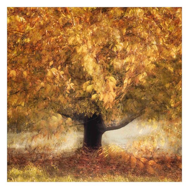Fototapete - Verträumter Baum im Herbst