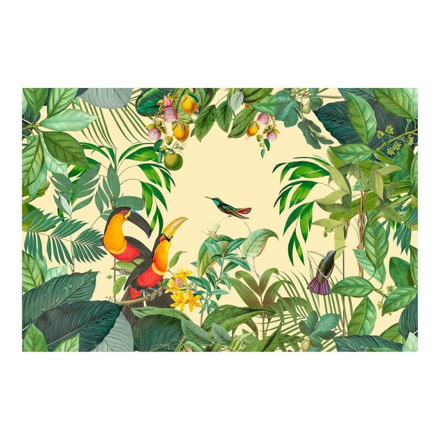 Tapeten kaufen Vintage Collage - Vögel im Dschungel