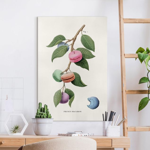 Leinwandbilder modern Vintage Pflanze - Macaron