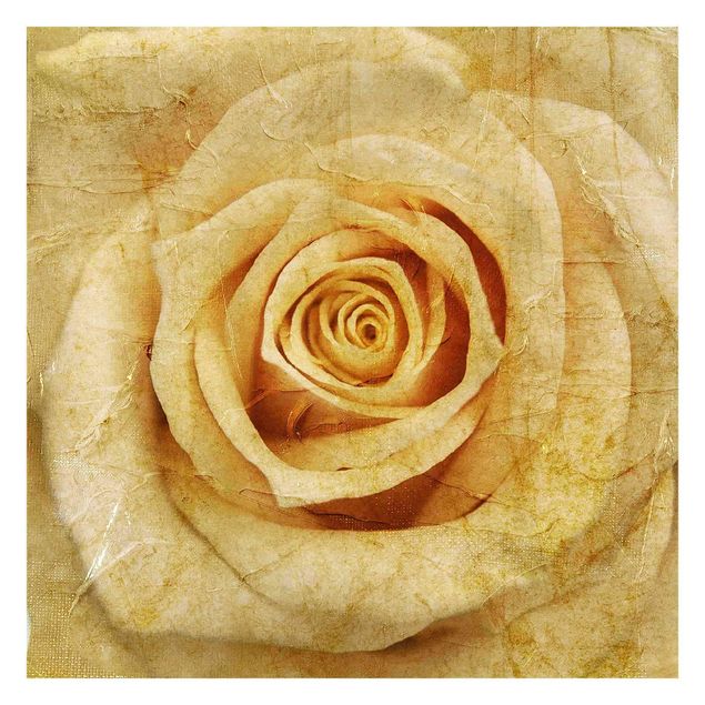 Fototapete selbstklebend Vintage Rose
