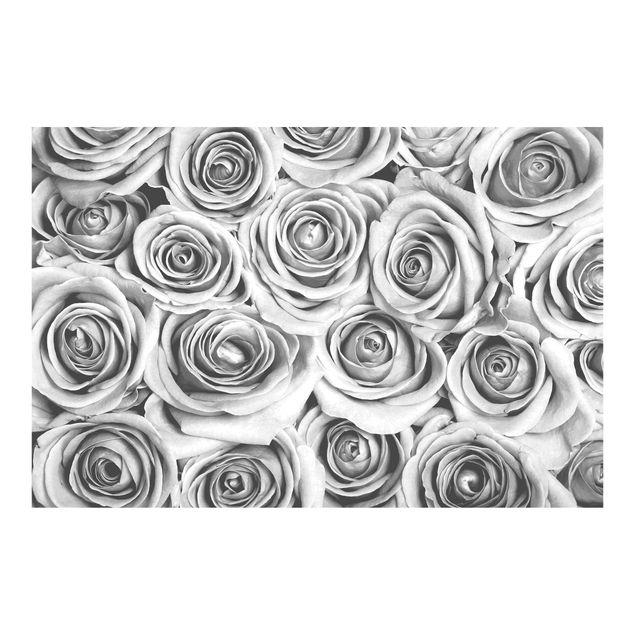 schöne Tapeten Vintage Rosen Schwarz-Weiß