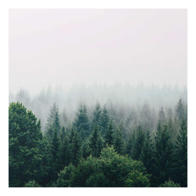Glasbild - Wald im Nebel Dämmerung - Quadrat