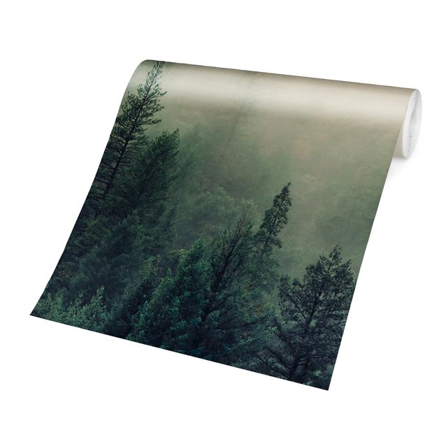 selbstklebende Tapete Wald im Nebel Erwachen