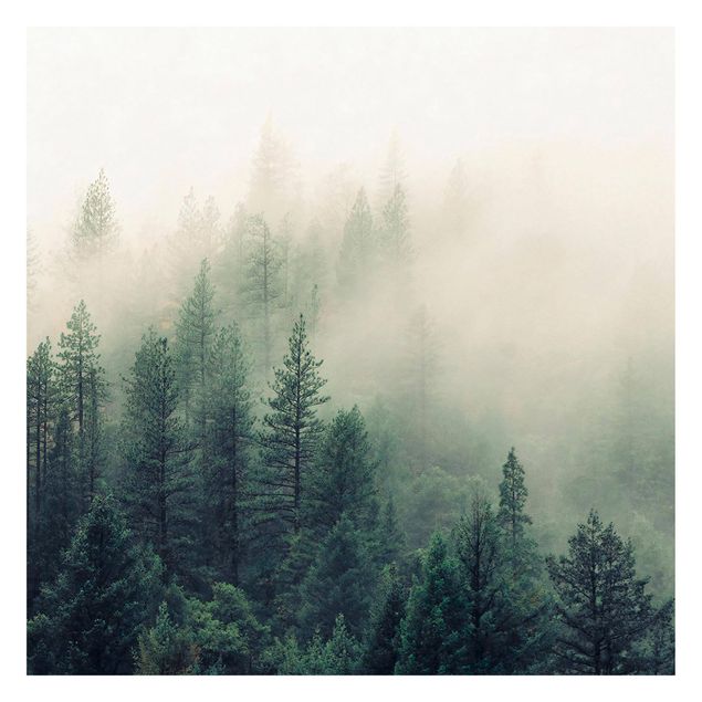 Fototapete - Wald im Nebel Erwachen