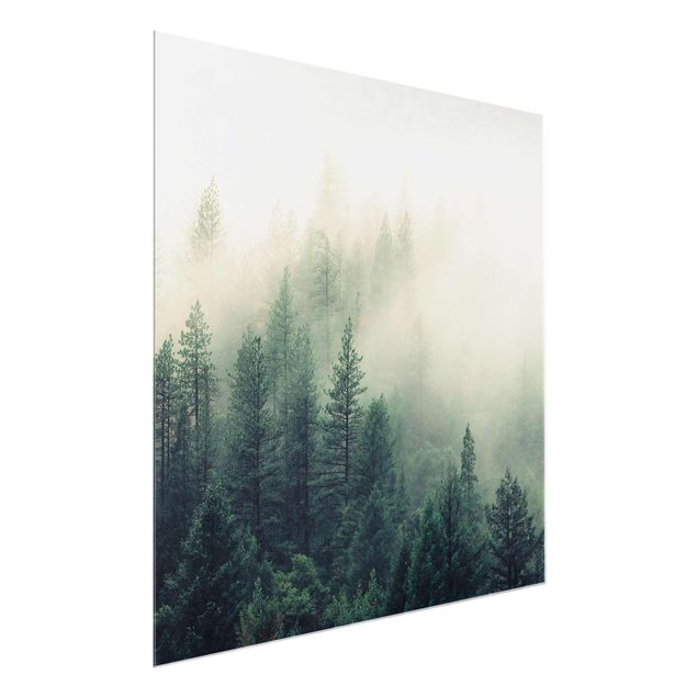 Glasbild - Wald im Nebel Erwachen - Quadrat