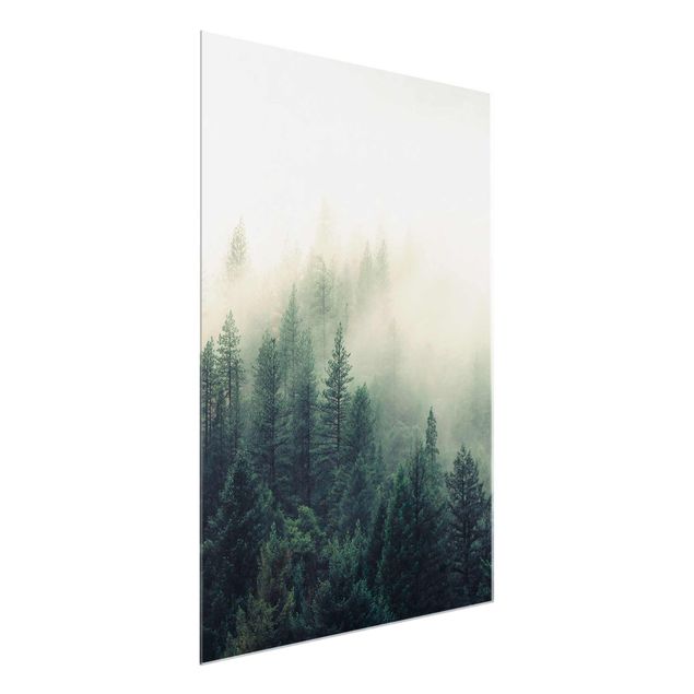 Glas Wandbilder Wald im Nebel Erwachen