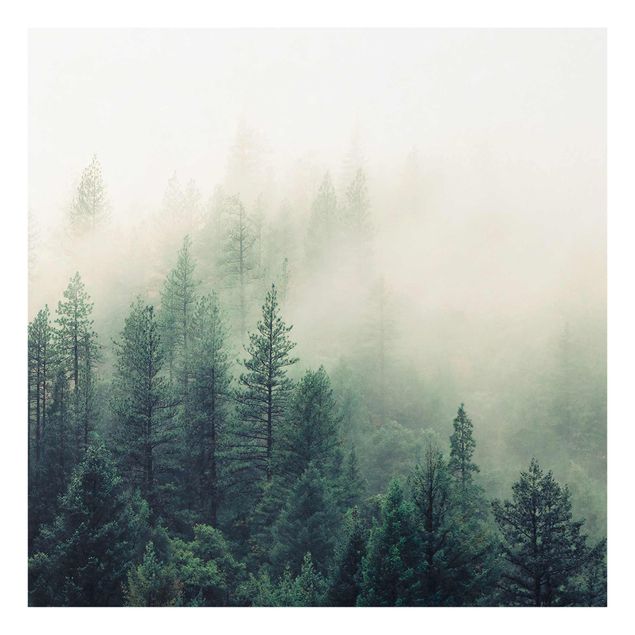 Glasbild - Wald im Nebel Erwachen - Quadrat