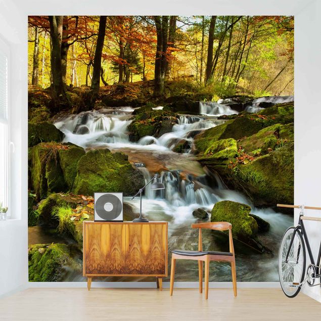 Design Tapeten Wasserfall herbstlicher Wald