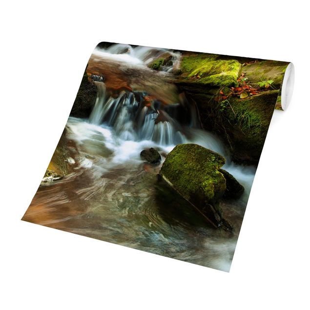 Fototapete selbstklebend Wasserfall herbstlicher Wald