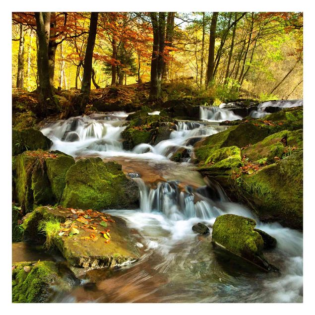 Fototapete - Wasserfall herbstlicher Wald