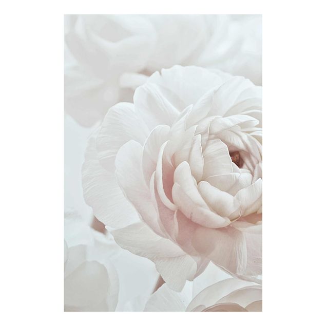 Bilder auf Glas Weiße Blüte im Blütenmeer