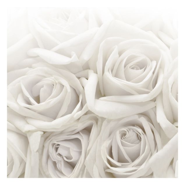 Fototapete selbstklebend Weiße Rosen