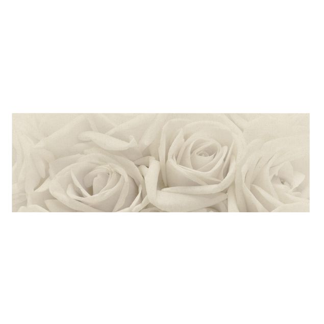 Leinwandbild Weiße Rosen - Panoramabild Quer