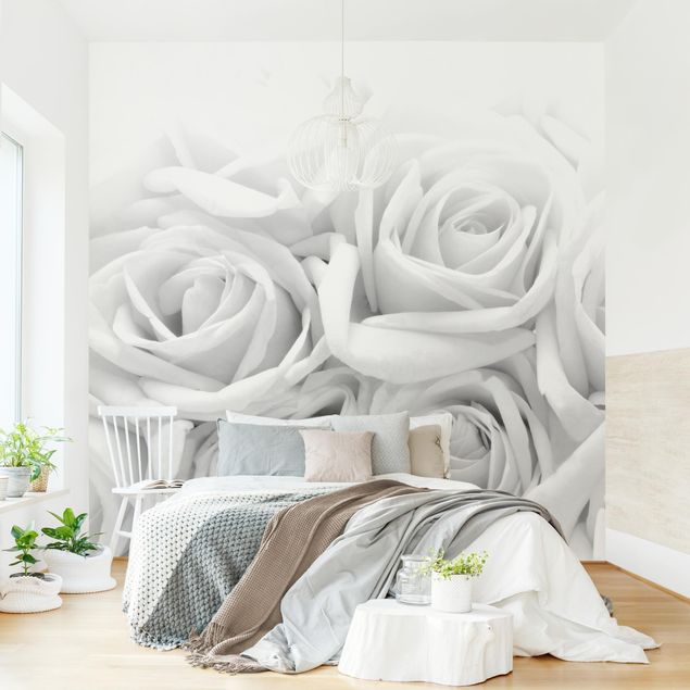 Tapete Landhausstil Weiße Rosen Schwarz-Weiß