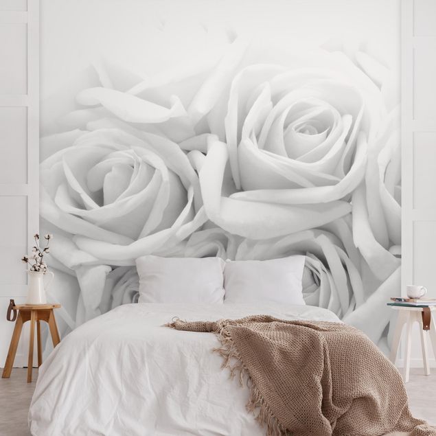 Design Tapeten Weiße Rosen Schwarz-Weiß