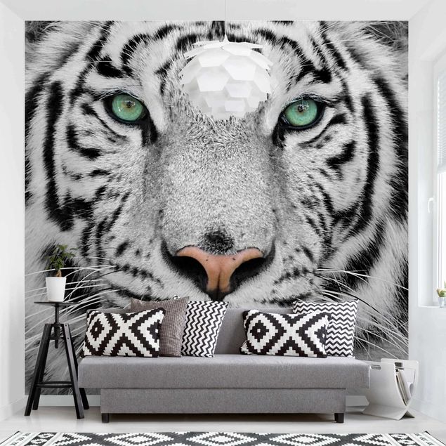 Tiger Tapete Weißer Tiger