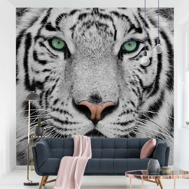 Design Tapeten Weißer Tiger