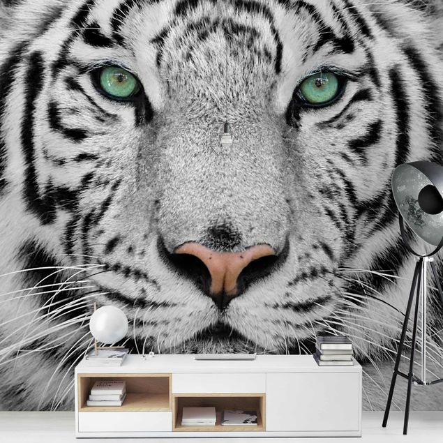 schöne Tapeten Weißer Tiger