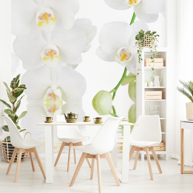 Tapete Blumen Wellness Orchidee - Weiße Orchidee