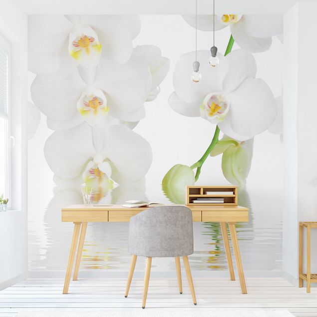 Design Tapeten Wellness Orchidee - Weiße Orchidee