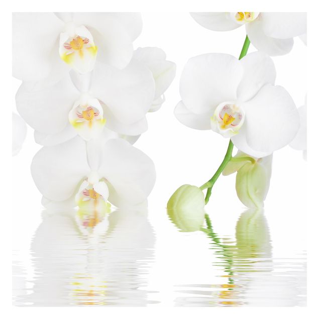 Fototapete selbstklebend Wellness Orchidee - Weiße Orchidee