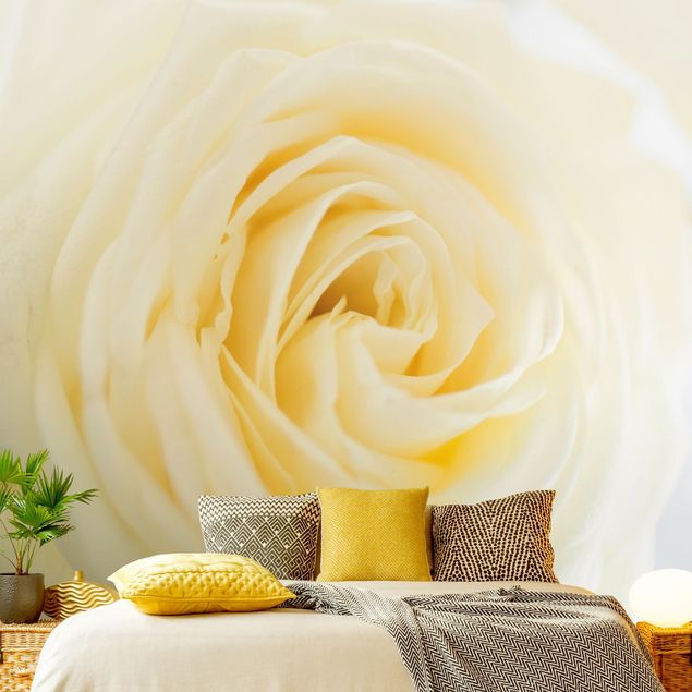 Design Tapeten White Rose