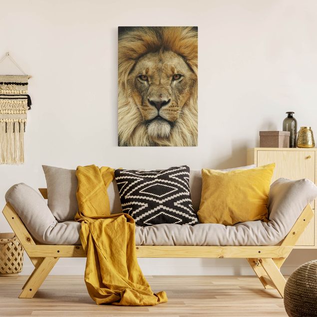 Bilder Wisdom of Lion