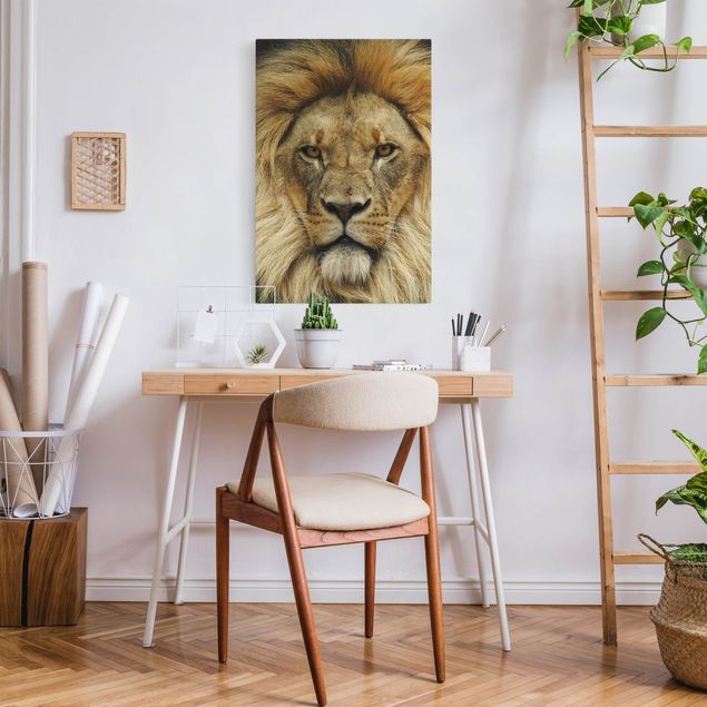 Leinwandbilder Wisdom of Lion